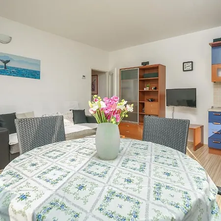 Apartmani Nedoklan Srima
