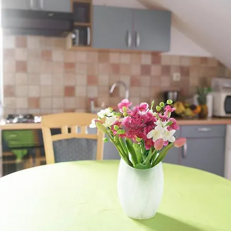 Apartmani Nedoklan Apartment *